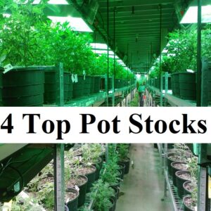 4 Top Pot Stocks