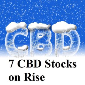 7 CBD Stocks on Rise