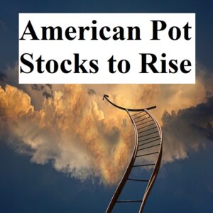 American Pot Stocks to RIse