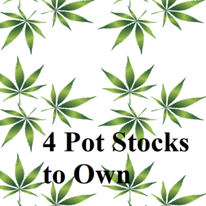 4 Pot Stocks to Own