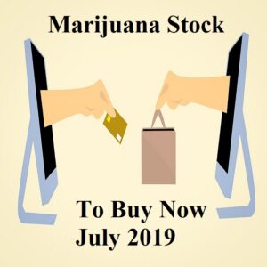 Marijuana Stocks to Buy Now July 2019