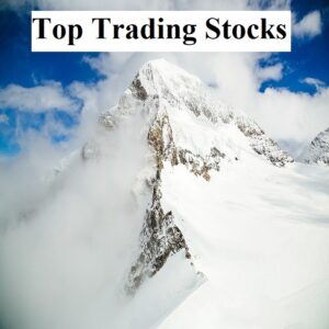 5 Top Trading Stocks